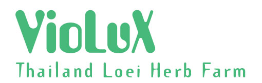 VioLux Thailand Loei Herb Farm