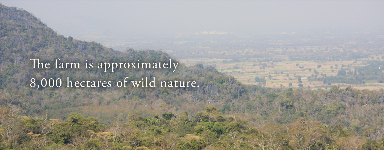 およそ8,000ヘクタール厳しい自然が農場です