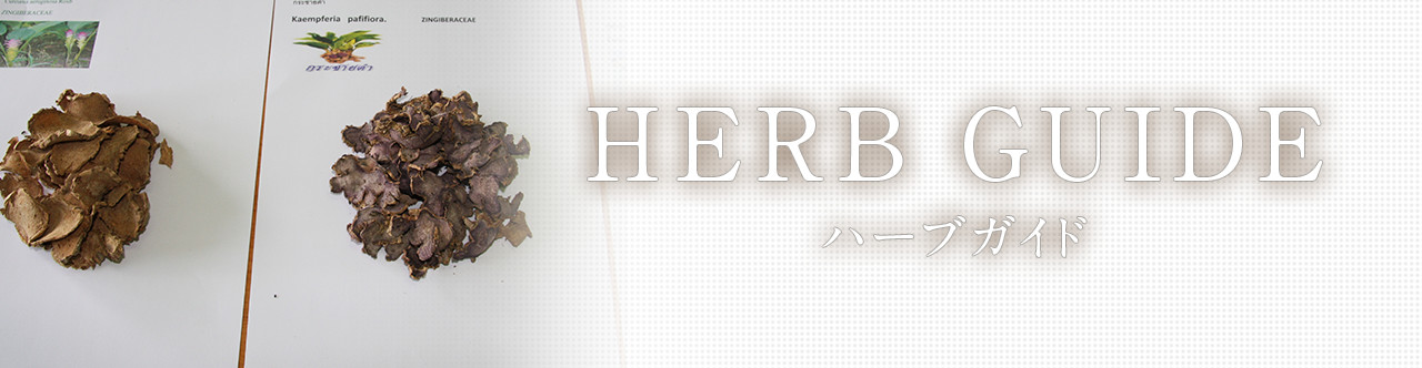 HERB GUIDE ハーブガイド