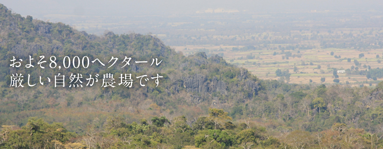 およそ8,000ヘクタール厳しい自然が農場です