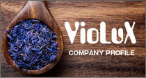 VioLux Company Profile