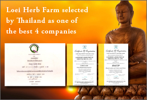 Loei Herb Farm selected by Thailand as one of the best 4 companies